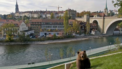 BärenPark, Bern
