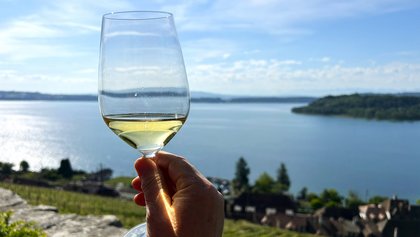 Weinwanderung mit allen Sinnen, Gléresse