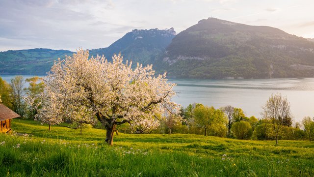 Krattigen, Ferienregion Interlaken