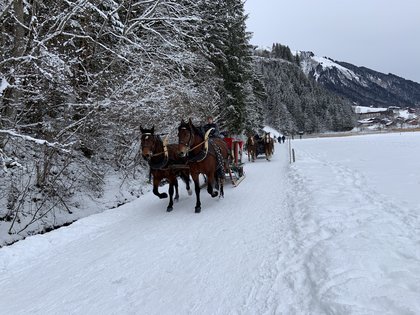 Kutschenfahrt an der Lenk, Adelboden-Lenk-Kandersteg