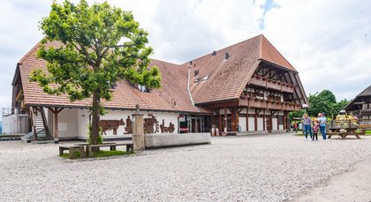 Emmentaler show dairy, Destination Bern