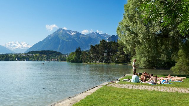 TCS Camping Thunersee-Gwatt, Thunersee