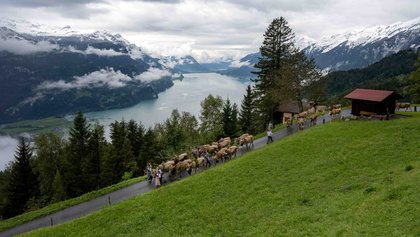 Alpabzug Hofstetten, Ferienregion Interlaken