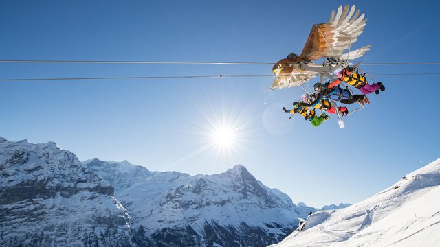 First Glider Grindelwald