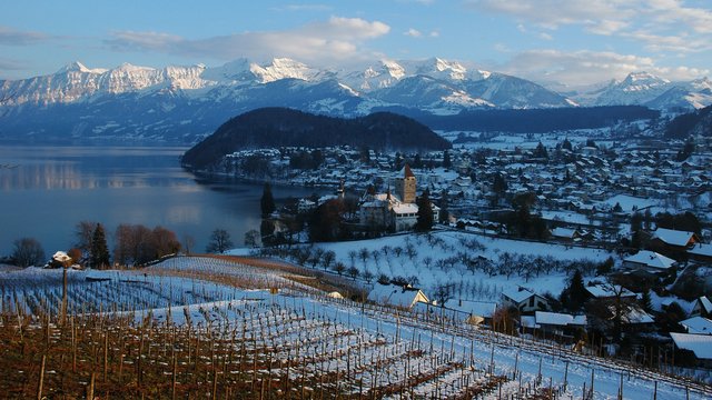 Spiez, Ferienregion Interlaken