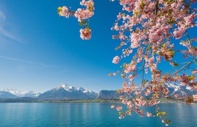 Oberhofen, Ferienregion Interlaken