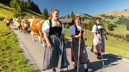 Alpabfahrt St. Stephan, Lenk Simmental, Adelboden-Lenk-Kandersteg
