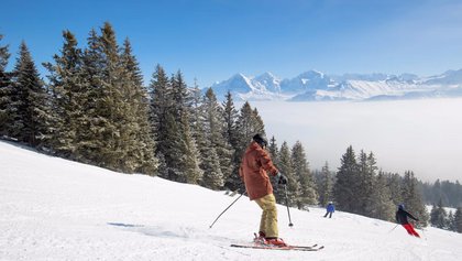 Niederhorn, Ferienregion Interlaken