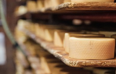 Käse der Gstaader Alpen