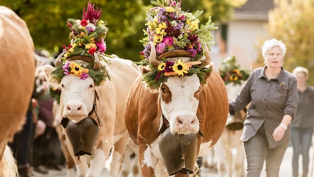 Älplerfest Lenk, Adelboden-Lenk-Kandersteg