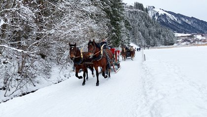 Kutschenfahrt an der Lenk, Adelboden-Lenk-Kandersteg