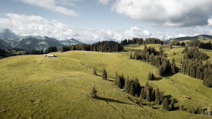 Site Alp, Zweisimmen