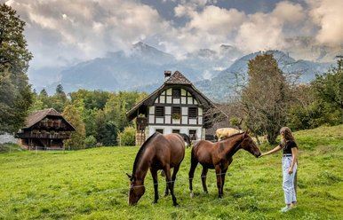 Freilichtmuseum Ballenberg, Ferienregion Interlaken