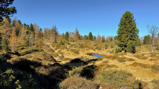 Rundwanderung - Herbstgenuss im Simmental