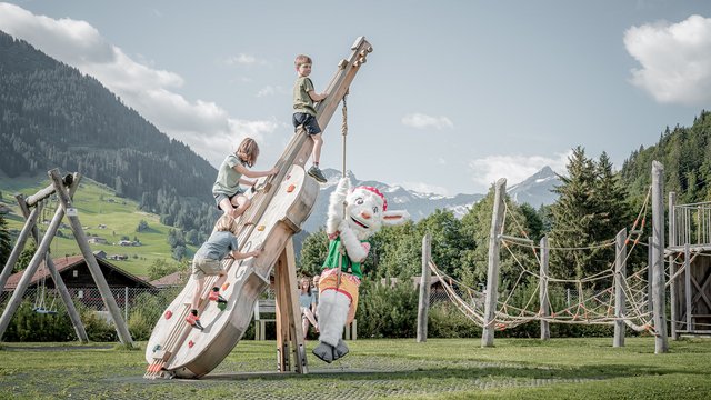Saani in der Ferienregion Gstaad