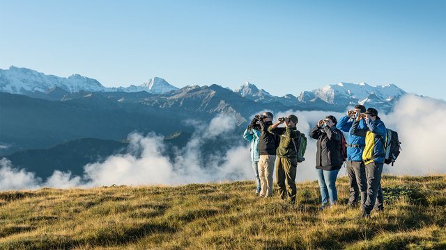 Wildbeobachtungen auf dem Niederhorn