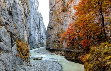 Aareschlucht, Jungfrau Region