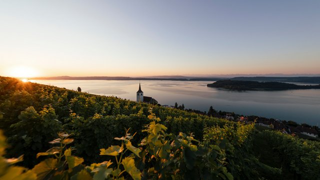 Sonnenaufgang in Ligerz, Bielersee