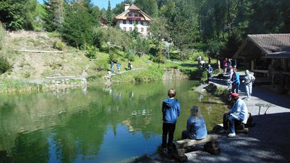 Forellenfischen in der Grabenmühle, Sigriswil