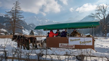 Fonduekutsche Lenk