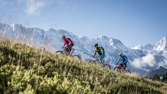 Mountainbike Mürren