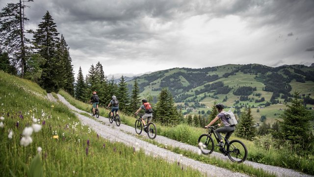 VTT