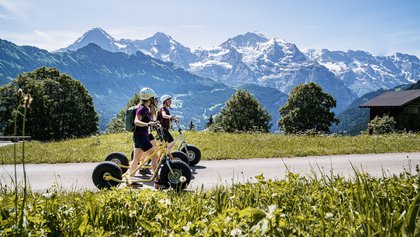 Monster-Trotti Sulwald-Isenfluh, Jungfrau Region