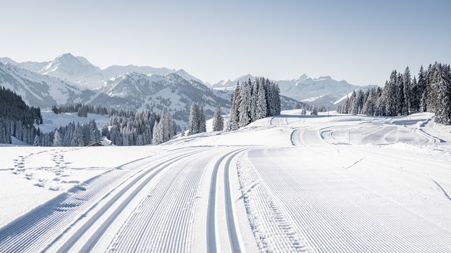 Cross-country skiing on the night trail in Schoenried