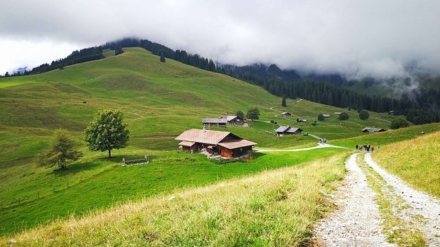 Alpkäsewanderung Tschuggen 
