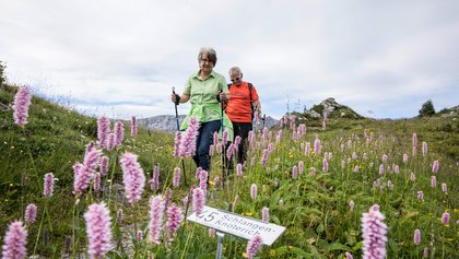 Alpenblumenweg Betelberg, Lenk im Simmental