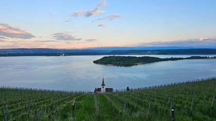 Weinbau Festiguet, Bielersee