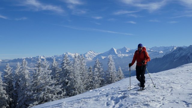 Obergurnigel Trail, Naturpark Gantrisch – Destination Bern / © René Michel