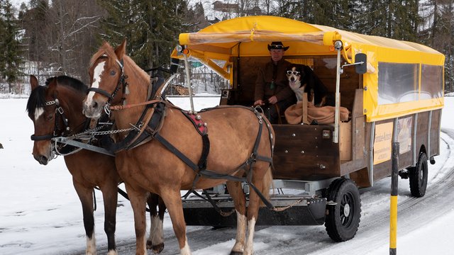 Fondue in a horse-drawn sleigh