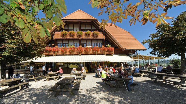 Emmentaler Schaukäserei, Emmental