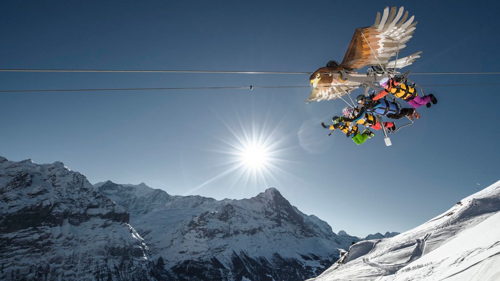 First Flieger und First Glider Grindelwald Made in Bern