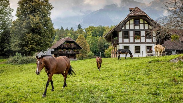 Ballenberg, Freilichtmuseum der Schweiz in Brienz