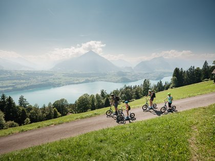 Trottibike Niederhorn, Ferienregion Interlaken