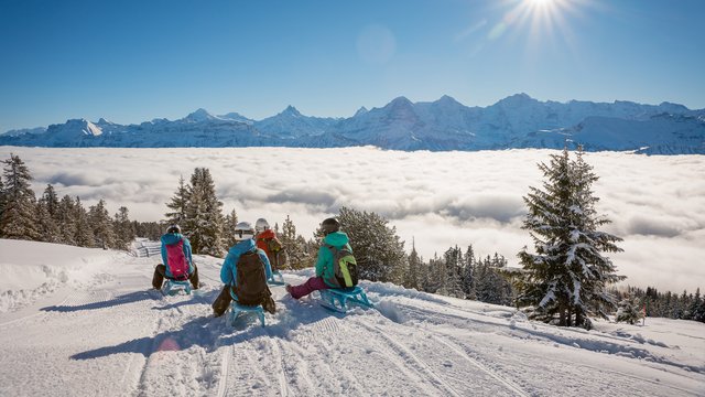 Sledging on the Niederhorn