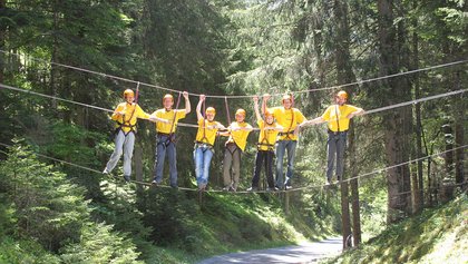 Seilbrückenbau, Jungfrau Region