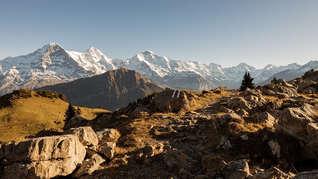 Schynige Platte