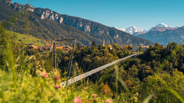 Sigriswil Suspension Bridge