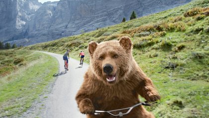 Der Bär auf dem Trottibike trifft Fahrradfahrer auf der Grossen Scheidegg