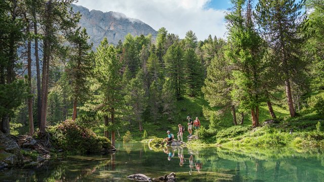 Bergfrieden Pfad Sunnbüel
