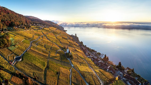 Weinwanderung mit allen Sinnen