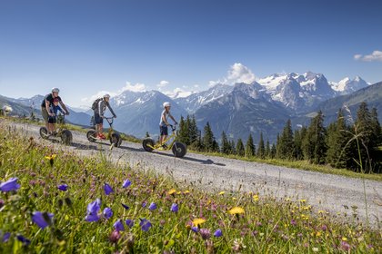 Monster-Trotti Hasliberg, Jungfrau Region