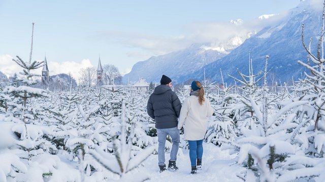 Winter Park Interlaken, Ferienregion Interlaken