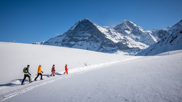 Winterliche Panoramawanderung Männlichen