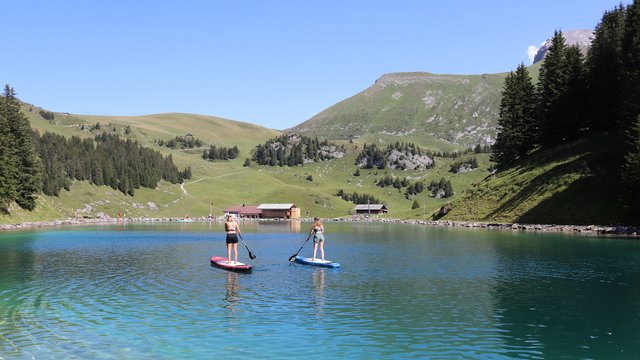 SUP auf dem Brandsee
