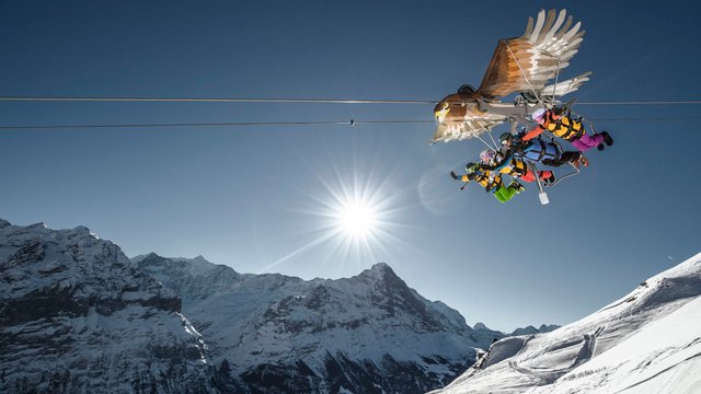 First Glider Grindelwald