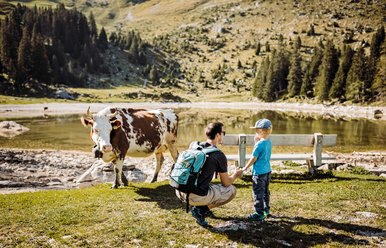 Gantrischseeli, Destination Bern